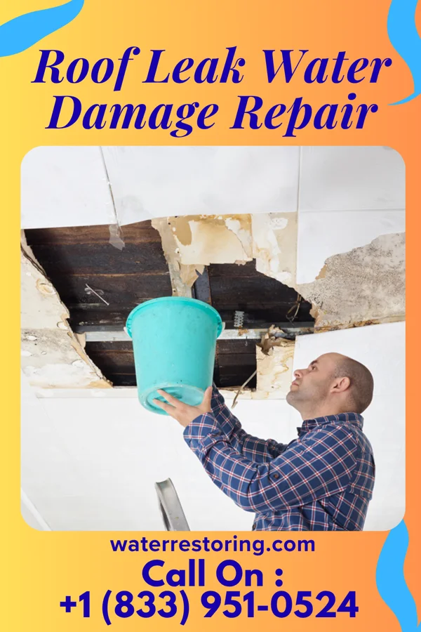 Roof Leak Water Damage Repair in Park City, UT